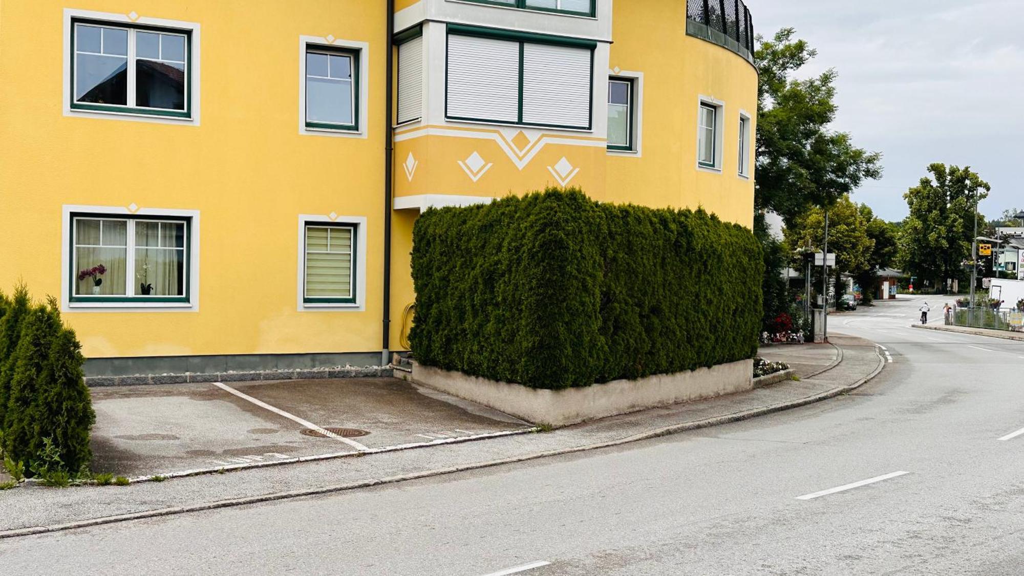 Naturparadies Salzburg-Land Seekirchen am Wallersee Ngoại thất bức ảnh